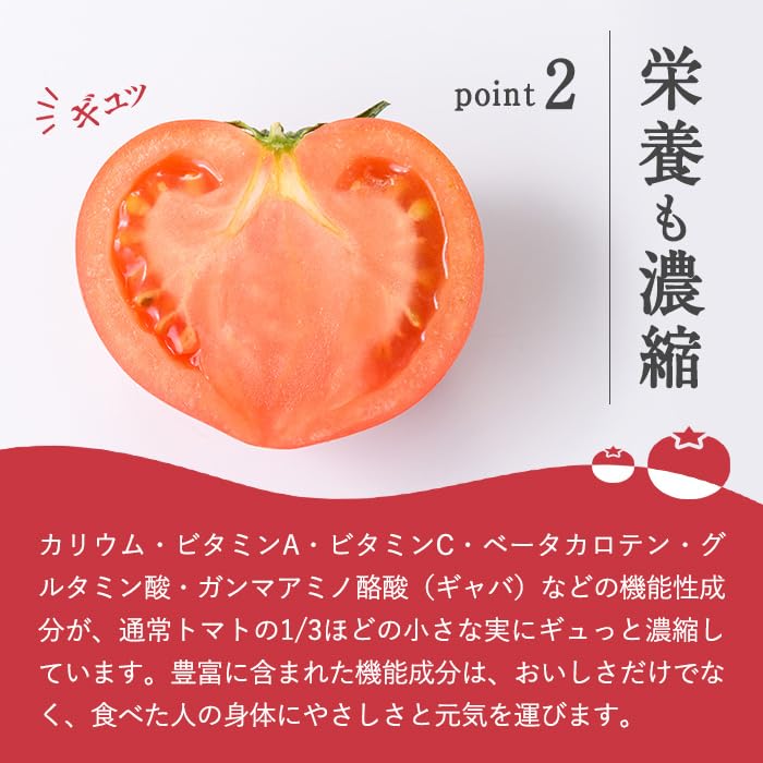 Amazon.co.jp: 【先行予約】アメーラトマト 1箱 ｜ Sサイズ（15〜16玉